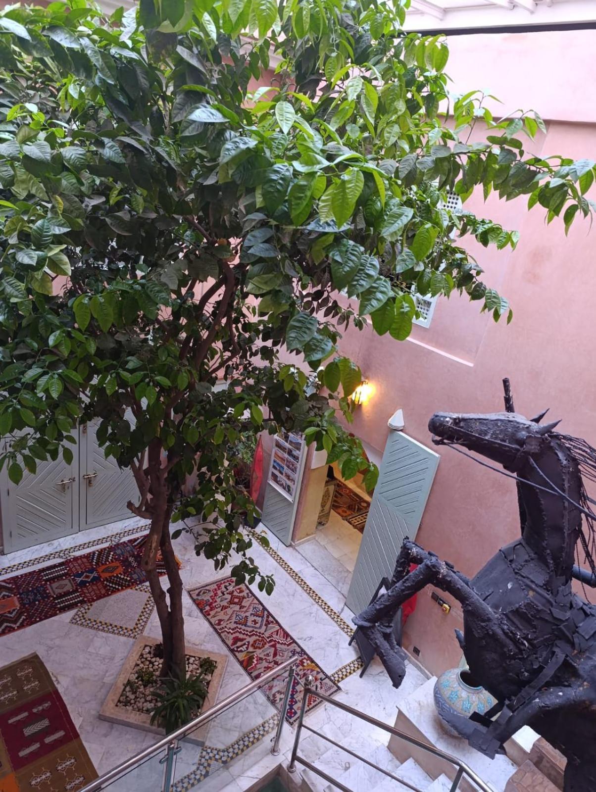 Riad Moullaoud Marrákes Kültér fotó